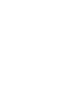 vector